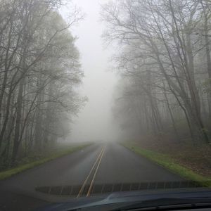 Meet your Posher, Maureen